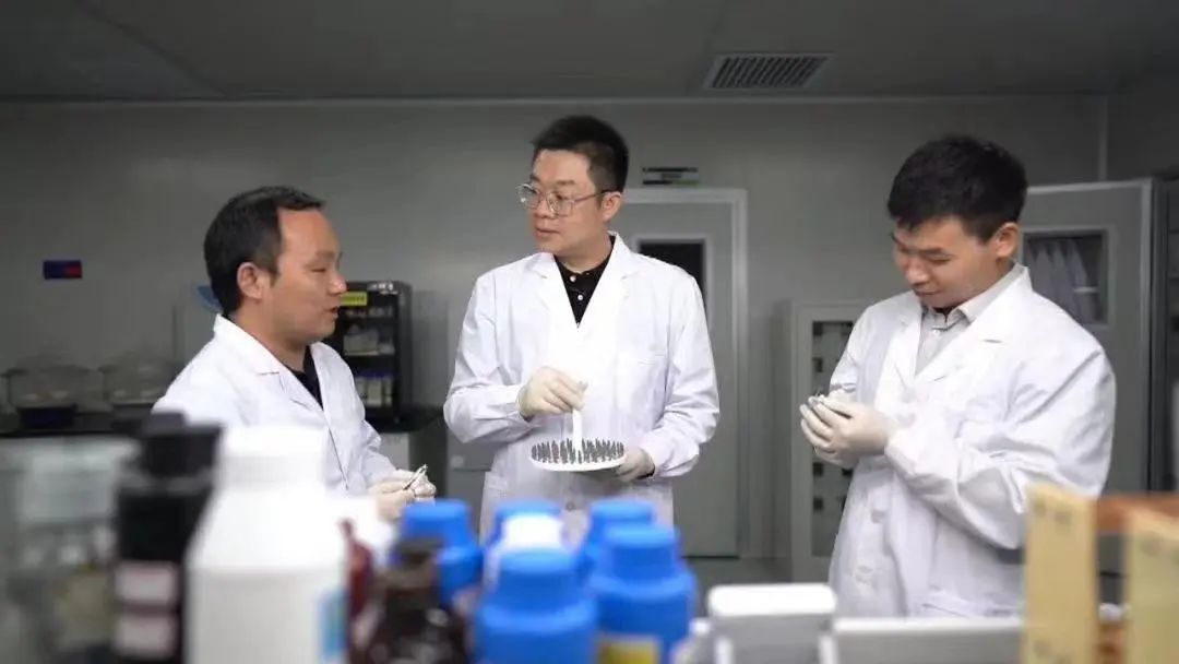 圆梦三龙湾丨“这里将是我用一生为之奋斗的地方”