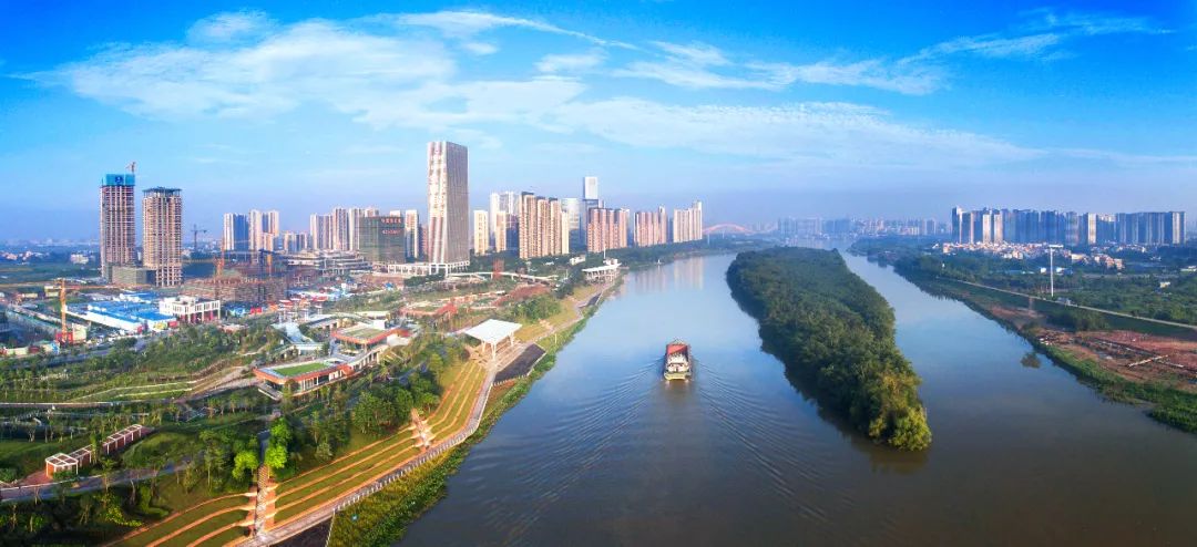 水清岸绿景美！打卡潭洲水道碧道，邂逅家门口的诗和远方