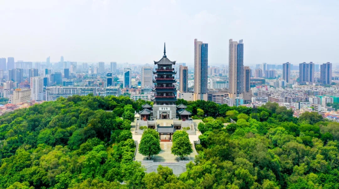 今日秋分|尽管昼夜平分,桂城对你的爱不减少一分